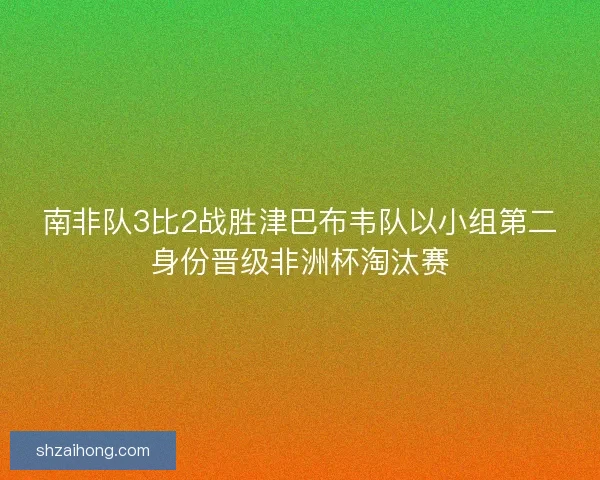 南非队3比2战胜津巴布韦队以小组第二身份晋级非洲杯淘汰赛