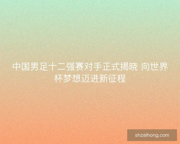 中国男足十二强赛对手正式揭晓 向世界杯梦想迈进新征程