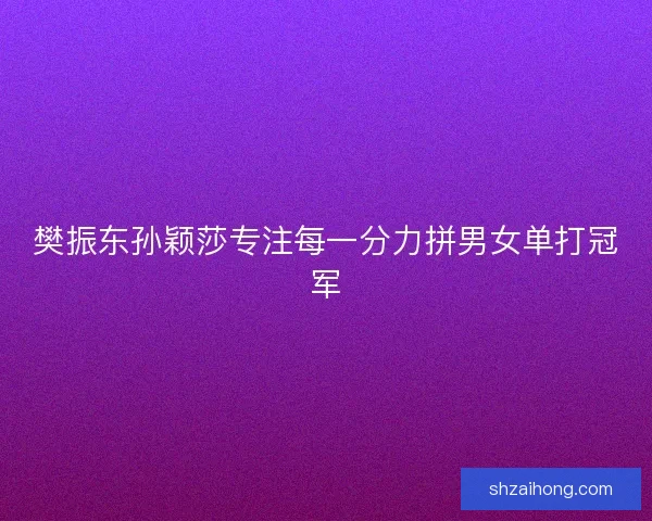 樊振东孙颖莎专注每一分力拼男女单打冠军